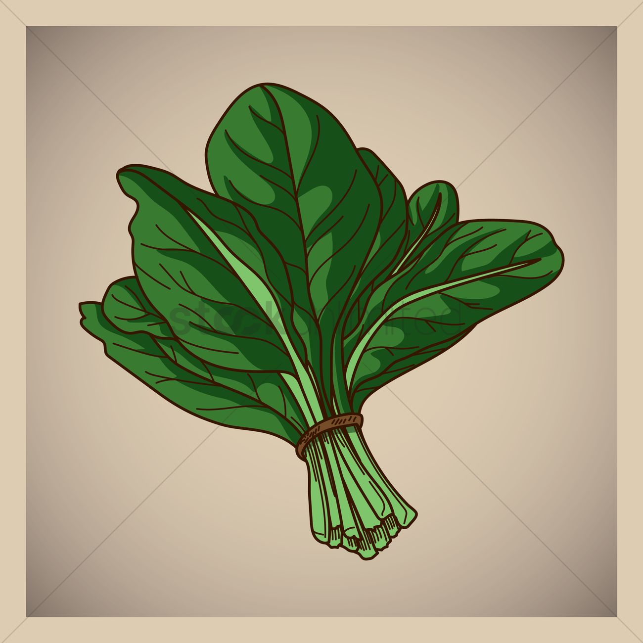 1300x1300 Spinach Vector Image