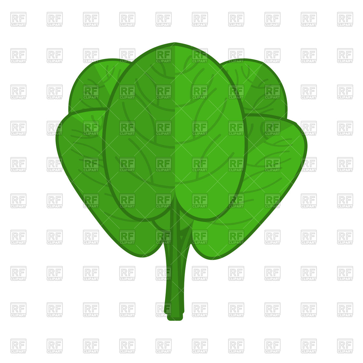 1200x1200 Spinach Green Leaves Vector Image Of Signs, Symbols, Maps
