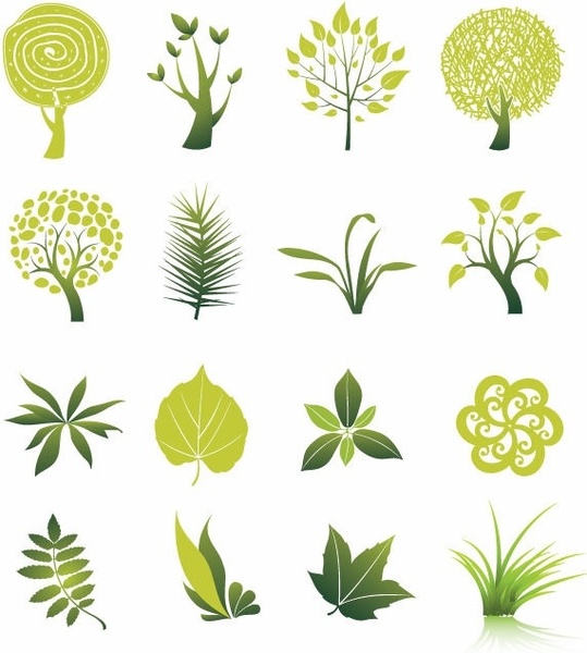 539x600 Spinach Vector Free Vector Download