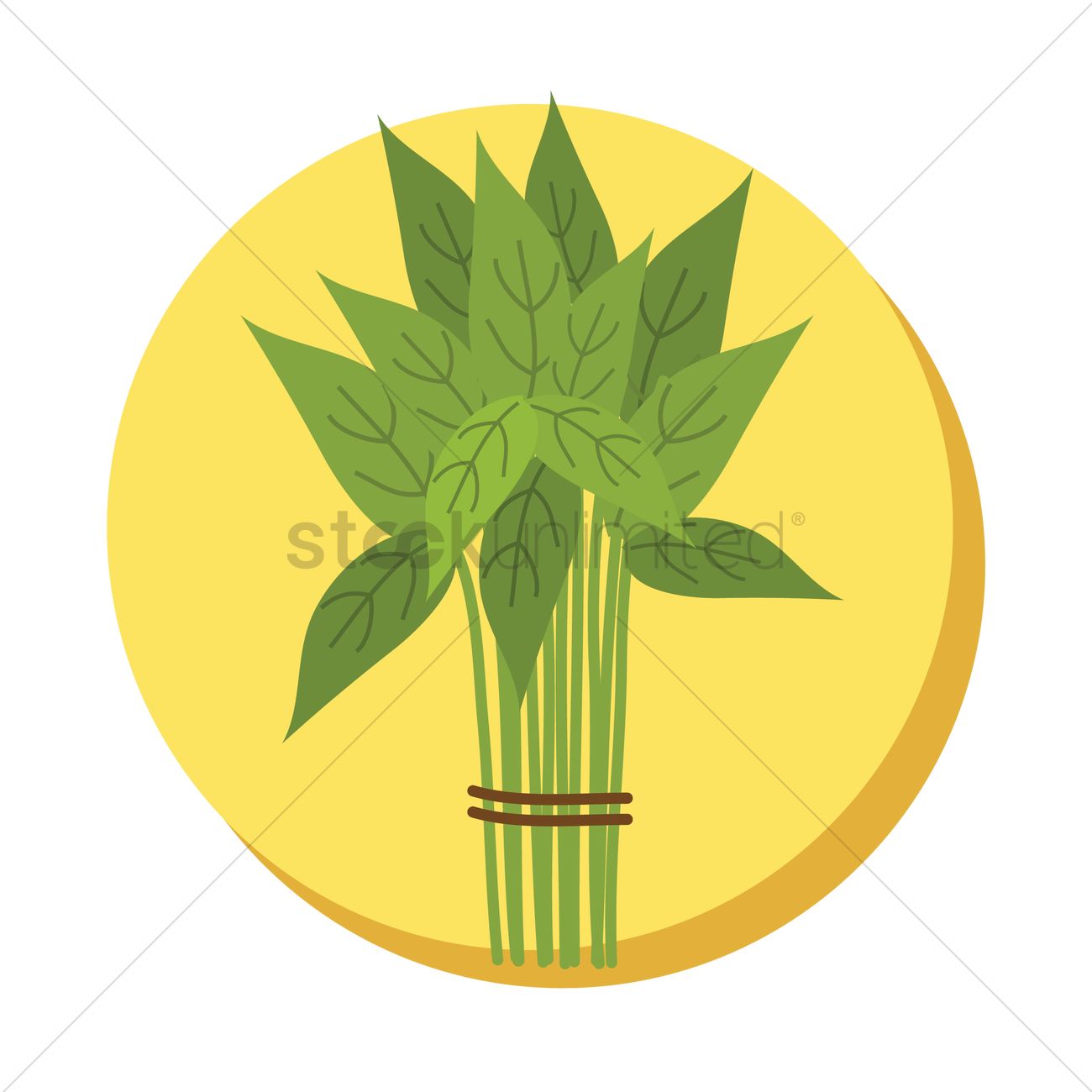 1300x1300 Water Spinach Vector Image