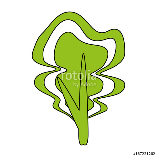 500x500 Spinach Vector Illustration Stock Image And Royalty Free Vector