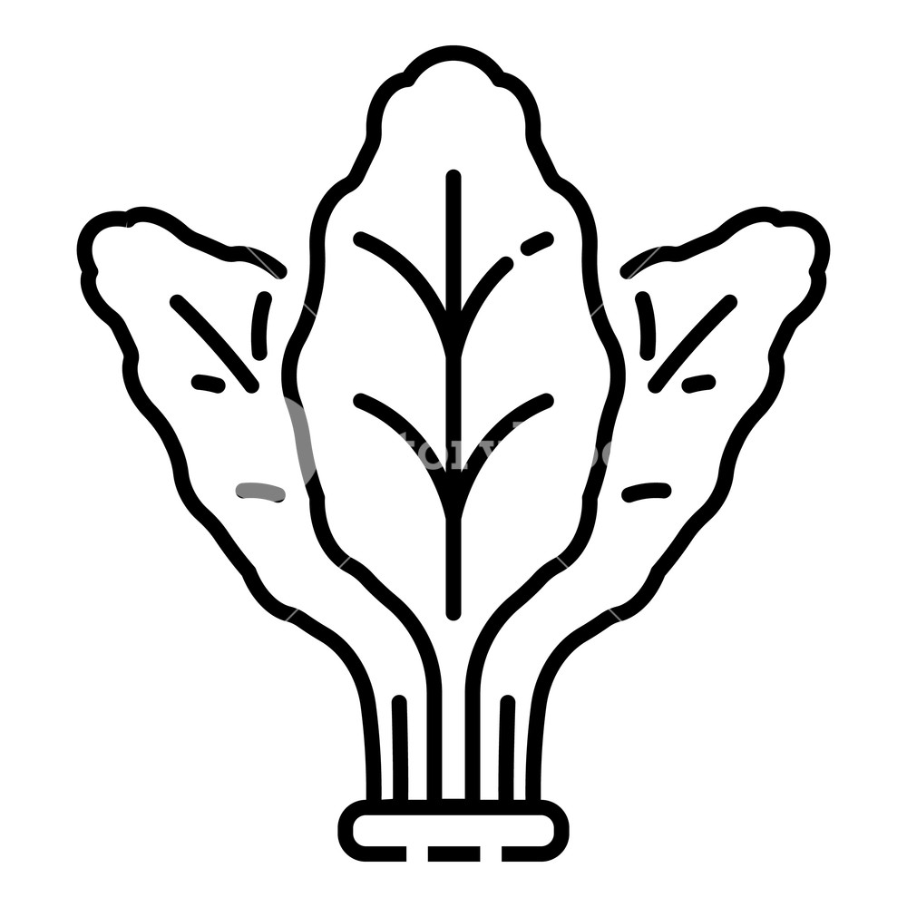 1000x1000 Fresh Spinach Icon Outline Fresh Spinach Vector Icon For Web