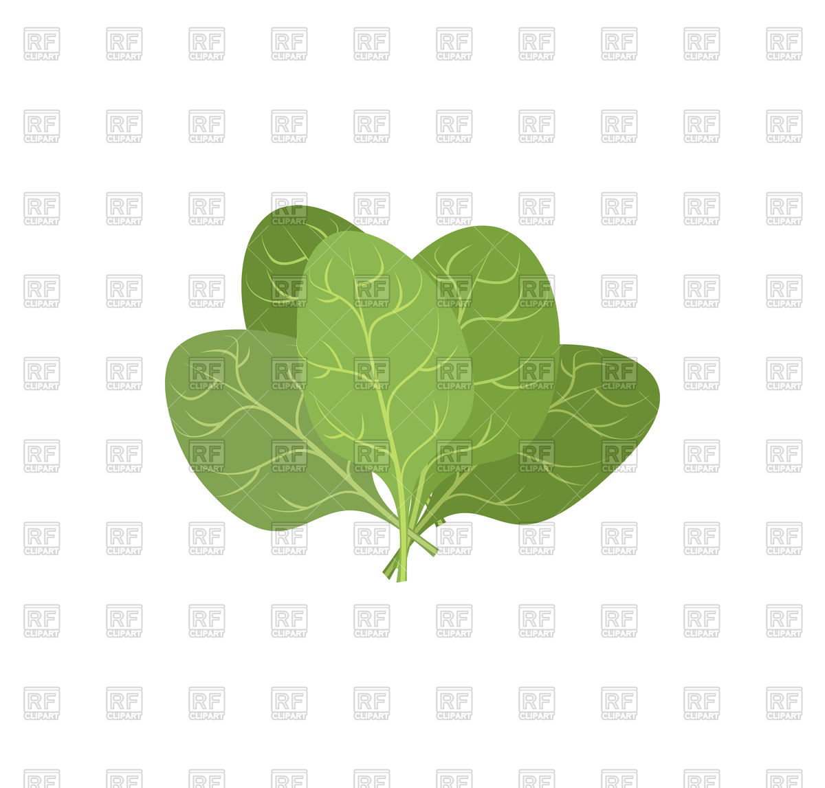 1200x1147 Leaves Of Spinach Vector Image Of Signs, Symbols, Maps