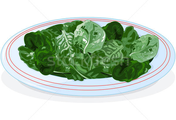 600x409 Plate Of Spinach Vector Illustration Anna Velichkovsky