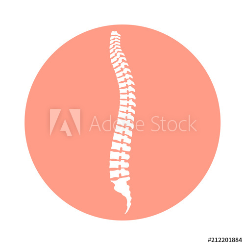 500x500 Sign Human Spine Icon Spinal Column In Rose Circle Isolated