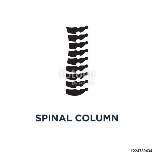 500x500 Spinal Column Icon Simple Element Illustration Spinal Column C