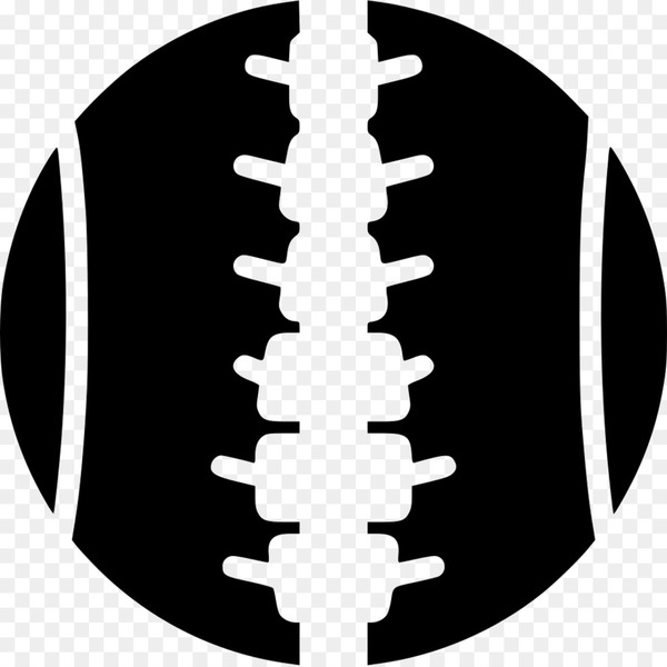 600x600 Spinal Cord Vertebral Column Computer Icons Portable Network