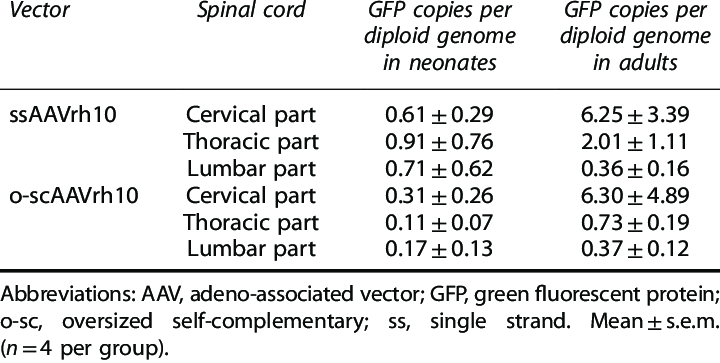 720x363 Vector Genome Copy Numbers Per Diploid Genome Detected