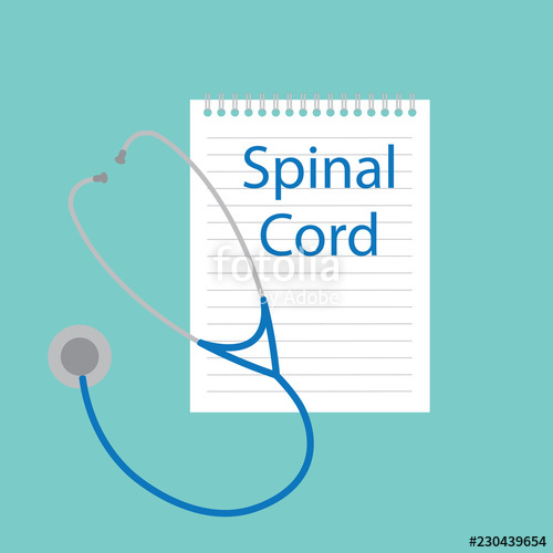 500x500 Spinal Cord Written In A Notebook Vector Illustration Stock