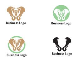 Spine Free Vector Art 250x200 Spine Free Vector Art