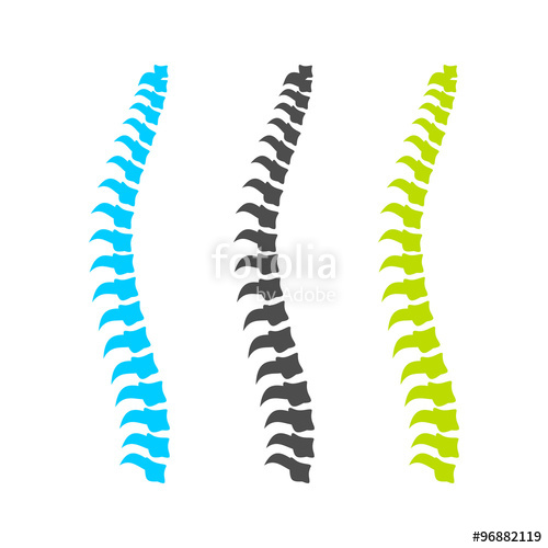 Spine Graphic Set Stock Image And Royalty Free Vector 500x500 Spine Graphic Set Stock Image And Royalty Free Vector