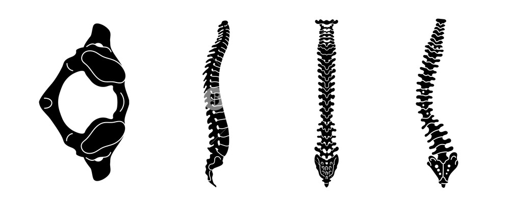 Spine Icon Set Simple Set Of Spine Vector Icons For Web Design 1000x393 Spine Icon Set Simple Set Of Spine Vector Icons For Web Design