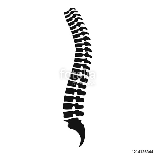 Spine Icon Simple Illustration Of Spine Vector Icon For Web 500x500 Spine Icon Simple Illustration Of Spine Vector Icon For Web