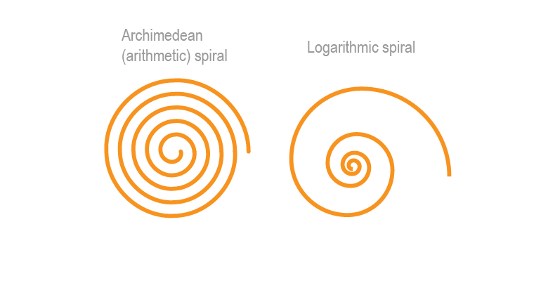 770x400 Adobe Illustrator