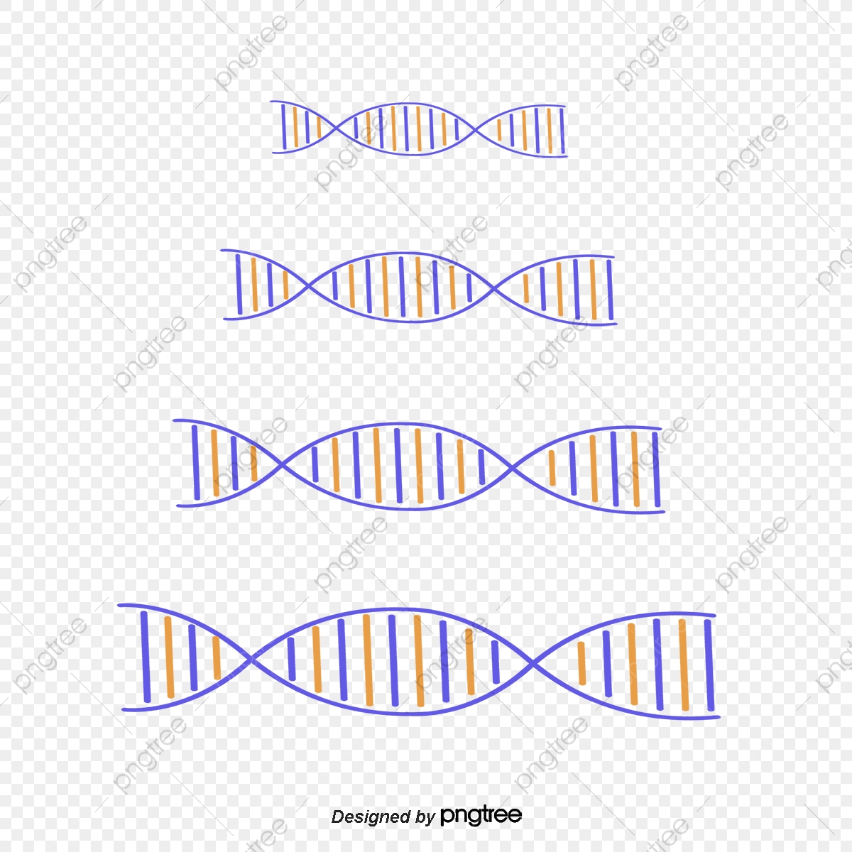 Dna Spiral Pattern, Spiral Vector, Pattern Vector, Biological Png 1200x1200 Dna Spiral Pattern, Spiral Vector, Pattern Vector, Biological Png