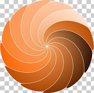 310x308 Spiral Vector Png Images, Spiral Vector Clipart Free Download