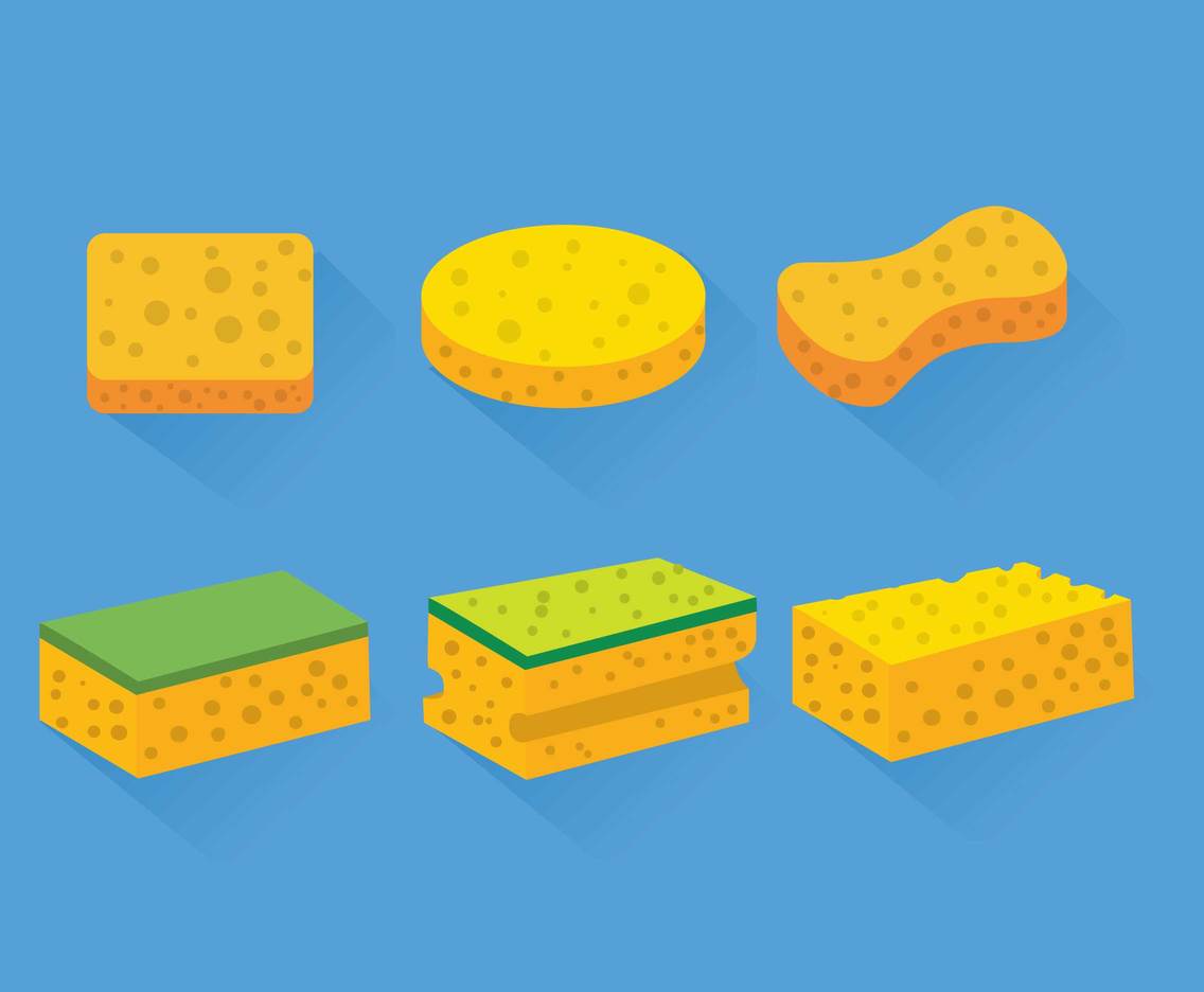 1136x936 Sponge Vector Set Vector Art Graphics