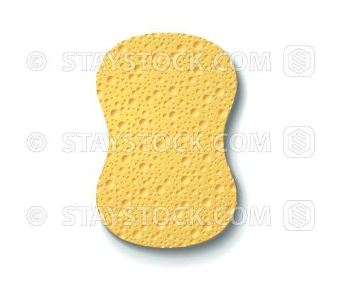 480x400 Sponge Vector Staystock