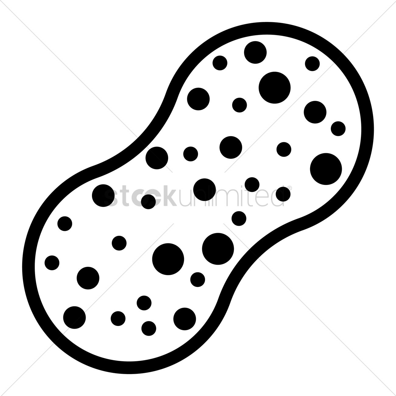 1300x1300 Free Sponge Vector Image