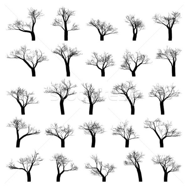 600x600 Spooky Tree Silhouette Vector Isolated Vector Illustration