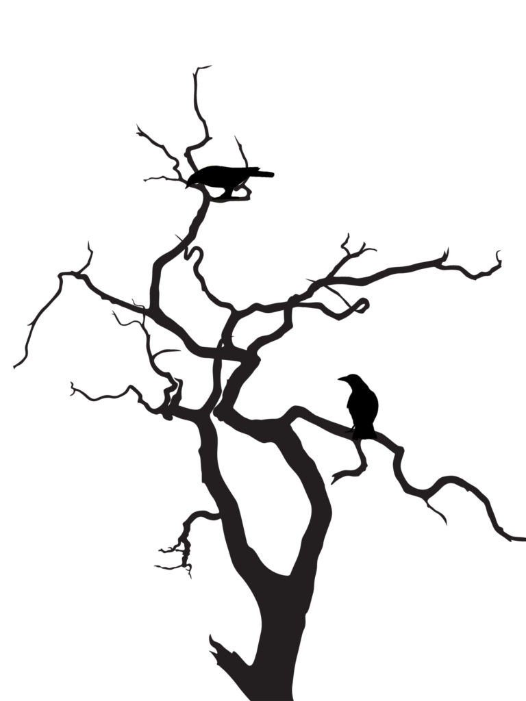 768x1024 Tree Wcrows Silhouette