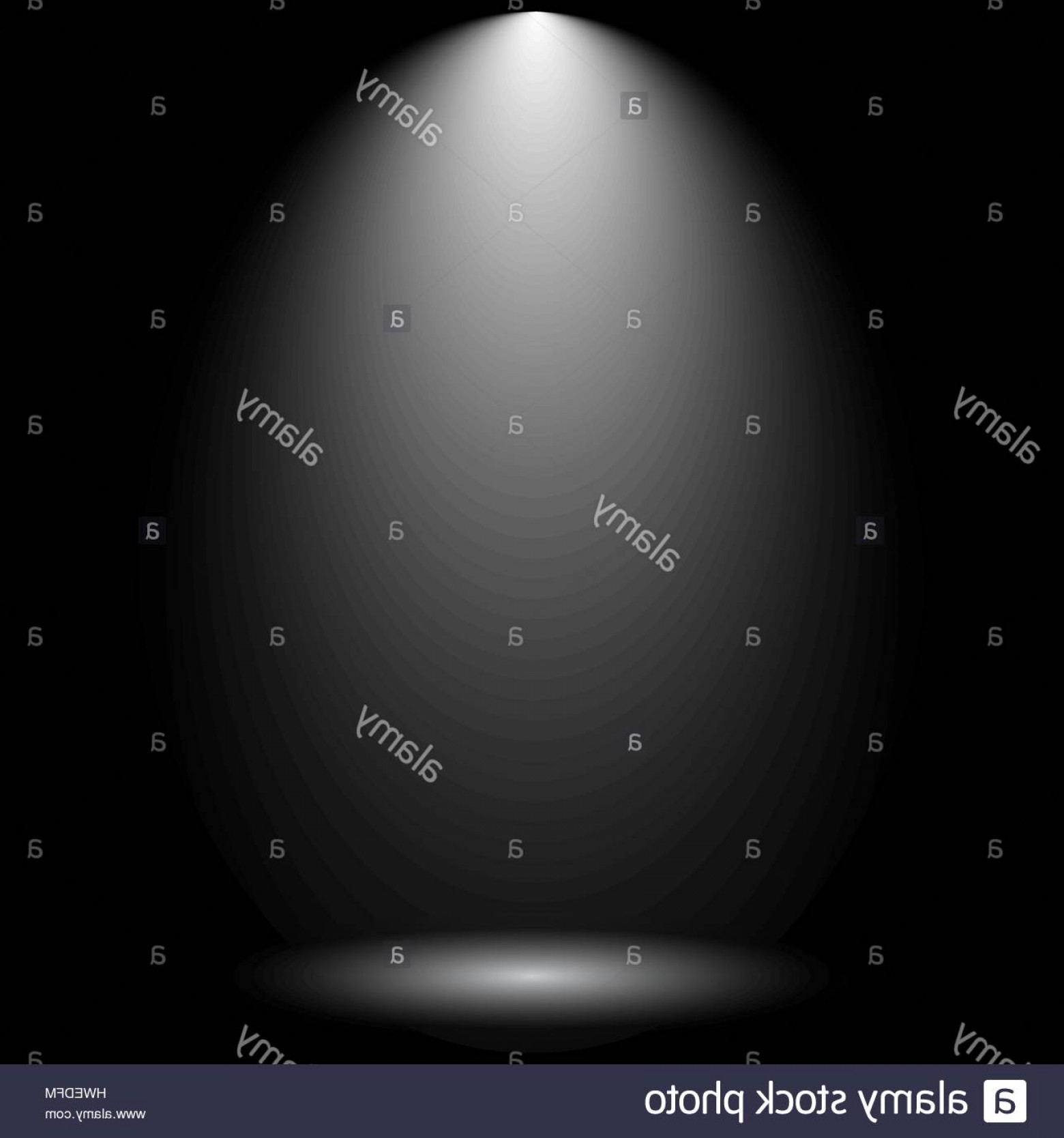 1560x1668 Spotlight Vector Studiogrfx