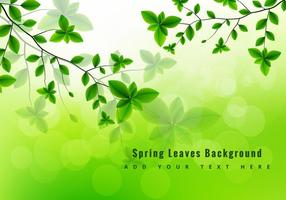 286x200 Spring Free Vector Art