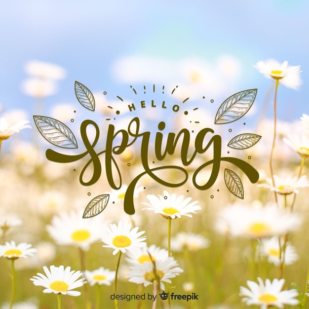 626x626 Spring Vectors, Photos And Free Download