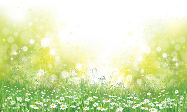600x358 White Daisies With Spring Backgrounds Vector Set Free Download