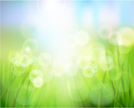 451x362 Bright Spring Background Free Vector Download