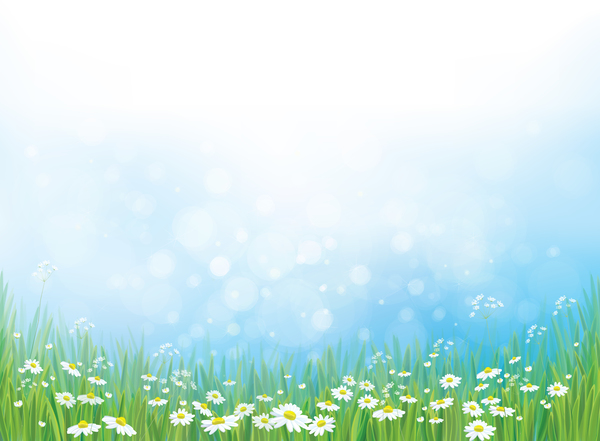 600x441 White Daisies With Spring Backgrounds Vector Set Free Download