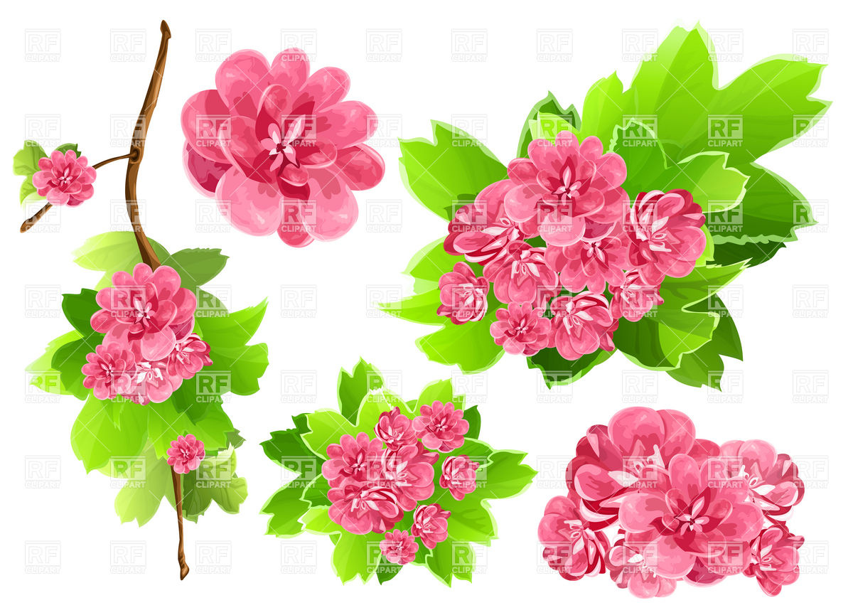 Download Spring Flowers Vector at Vectorified.com | Collection of ...