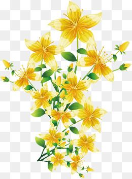 260x353 Yellow Flowers, Spring Background, Spring Illustration Png