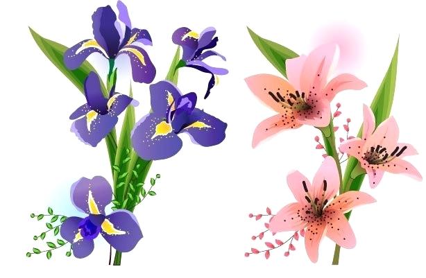 614x401 Free Vector Spring Flowers