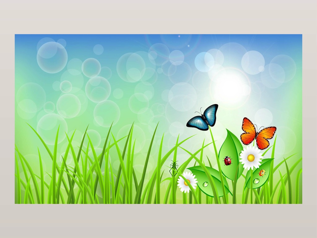 Spring Vector 1024x768 Spring Vector