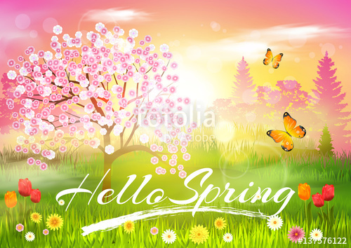 Spring Background Hello Spring Vector Card Stock Image 500x354 Spring Background Hello Spring Vector Card Stock Image