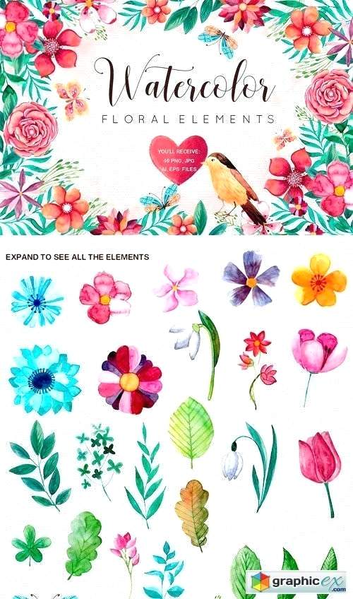 500x848 Spring Flowers Free Vector