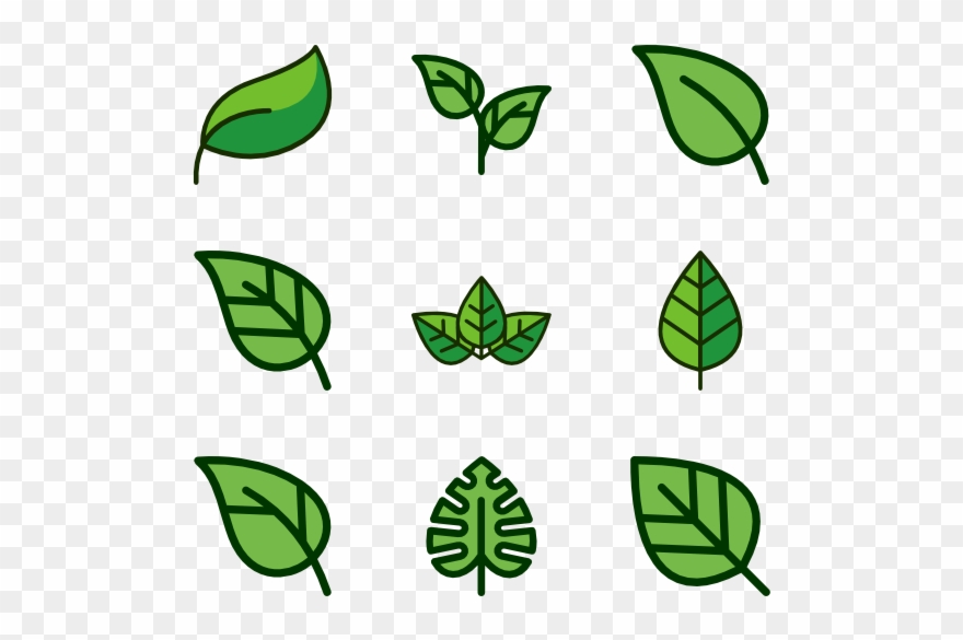 880x585 Leaf Sprite Png