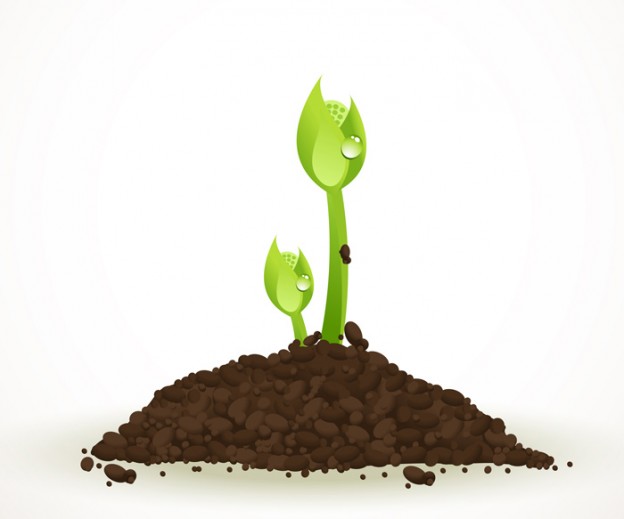 624x519 Green Plant, Sprout Vector
