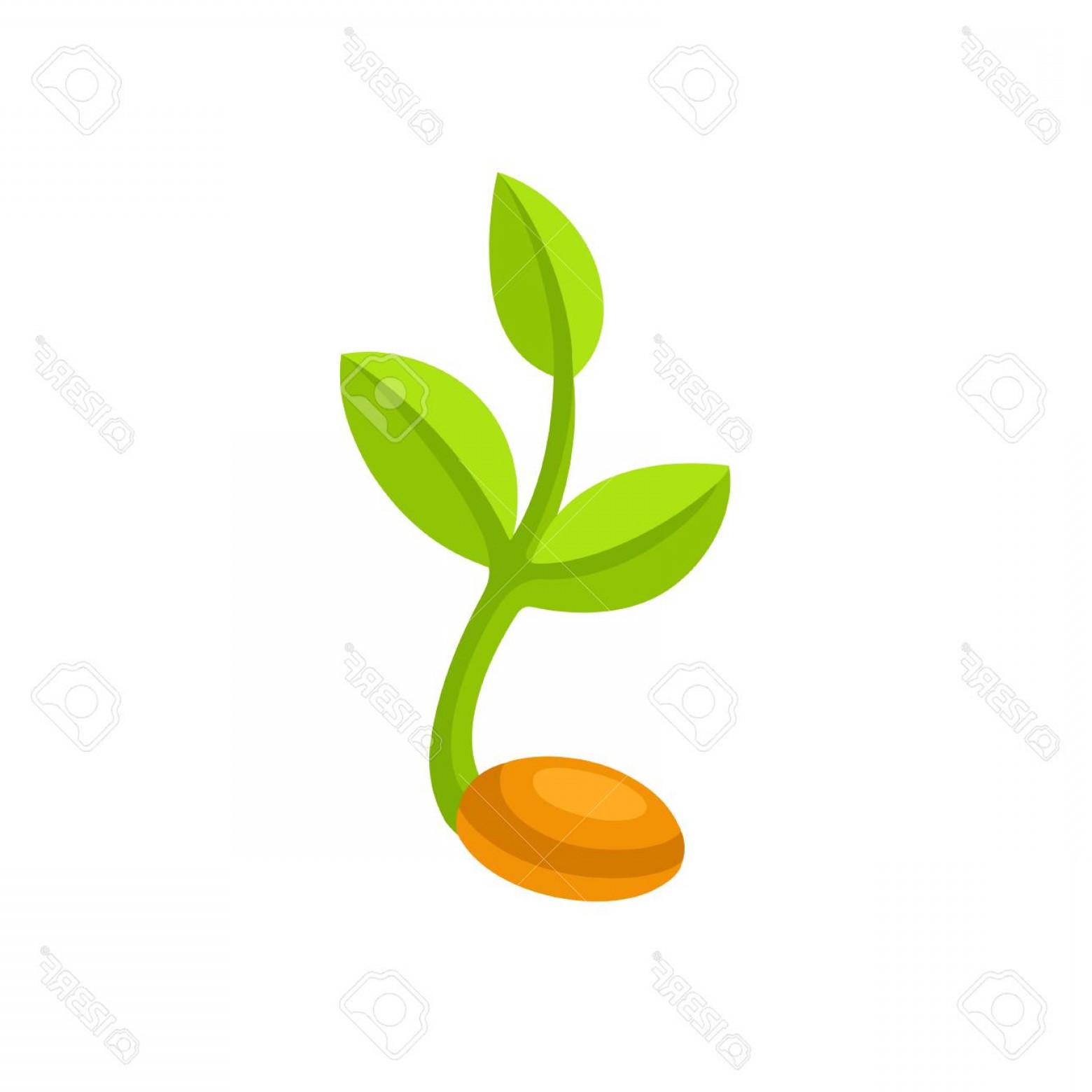 Sprout Vector at Vectorified.com | Collection of Sprout Vector free for ...