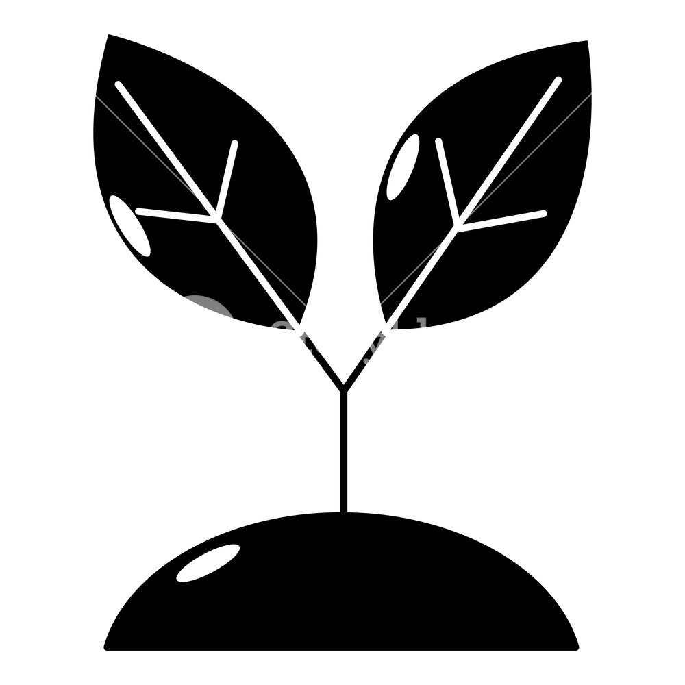 1000x1000 Plant Sprout Icon Simple Illustration Of Plant Sprout Vector Icon