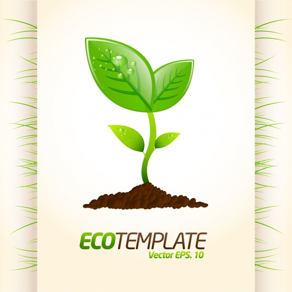 599x600 Saplings Sprout Vector Free Vector In Encapsulated Postscript