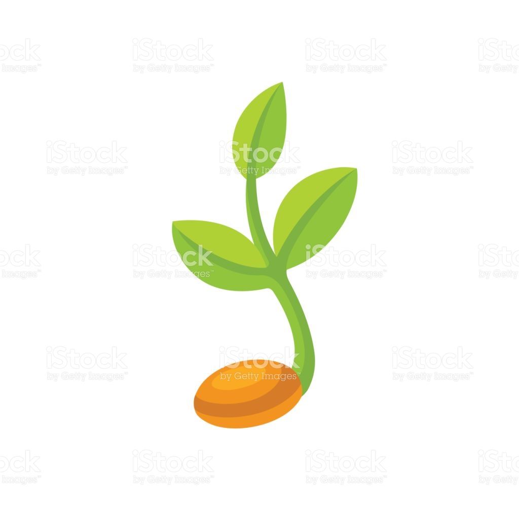 1024x1024 Simple Sprouting Seed Illustration Green Cartoon Sprout Vector