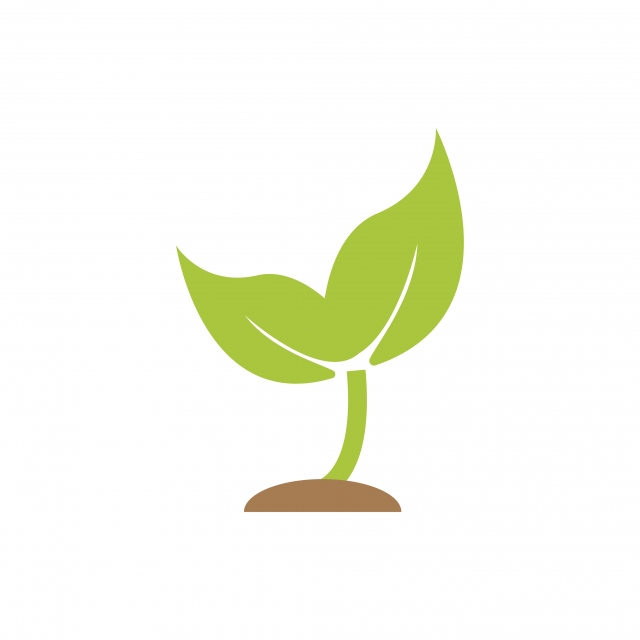 640x640 Sprout Plant Graphic Icon Design Template, Logo, Symbol, Graphic
