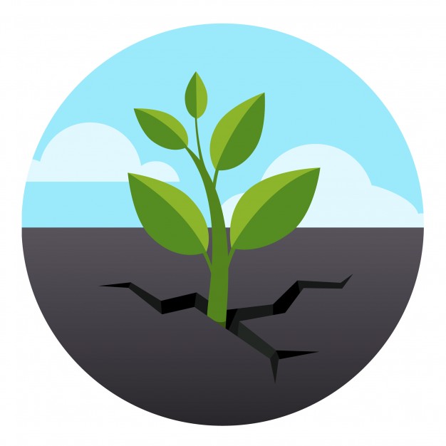 626x626 Sprout Vectors, Photos And Free Download