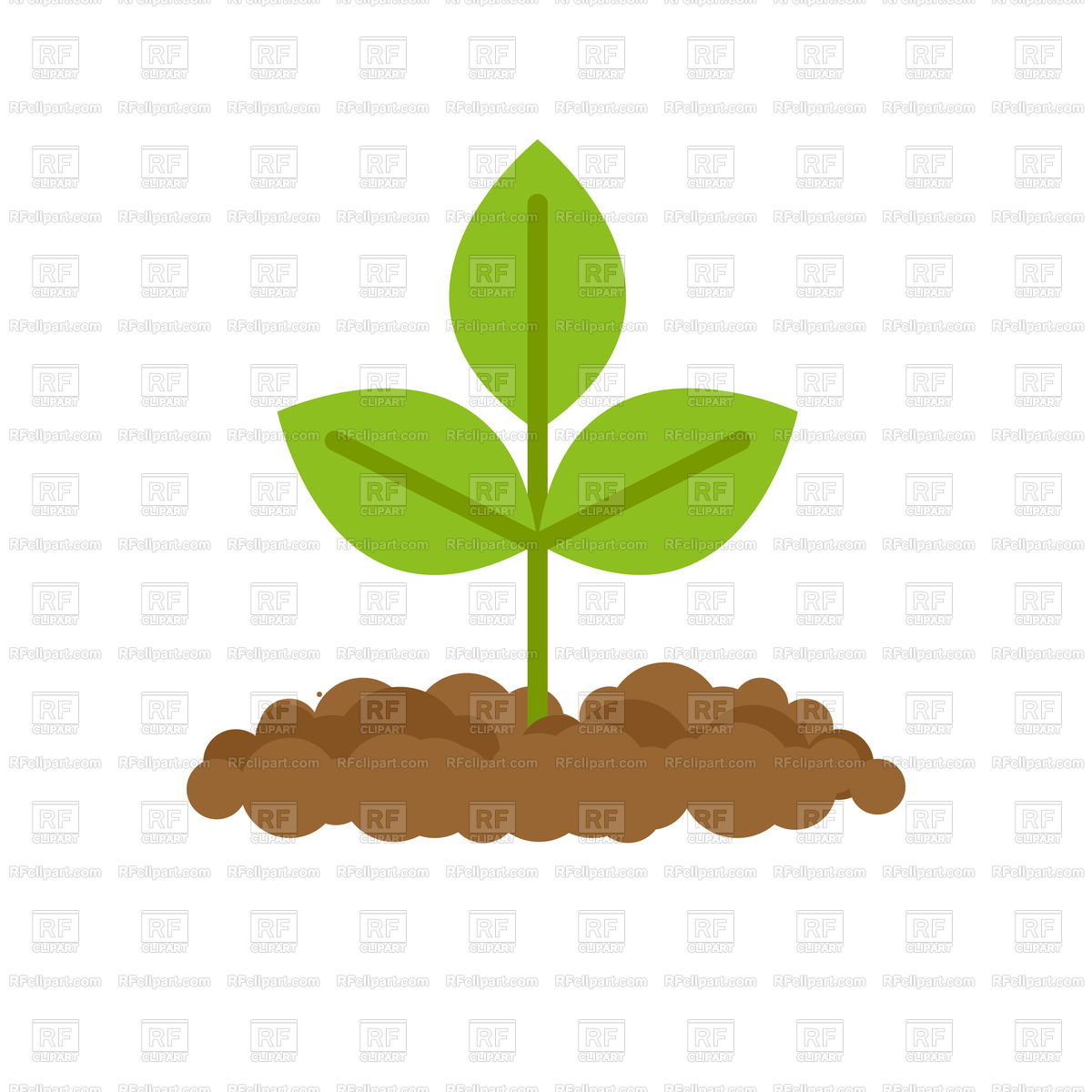 1200x1200 Sprout Grows From Ground Vector Image Of Plants And Animals