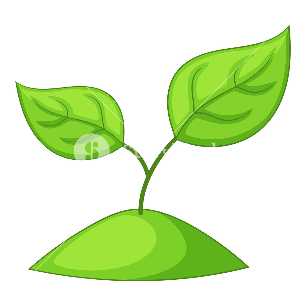 1000x1000 Sprout Icon Cartoon Illustration Of Sprout Vector Icon For Web