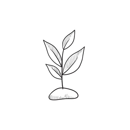 450x450 Sprout Vector Sketch Icon Isolated On Background Hand Drawn