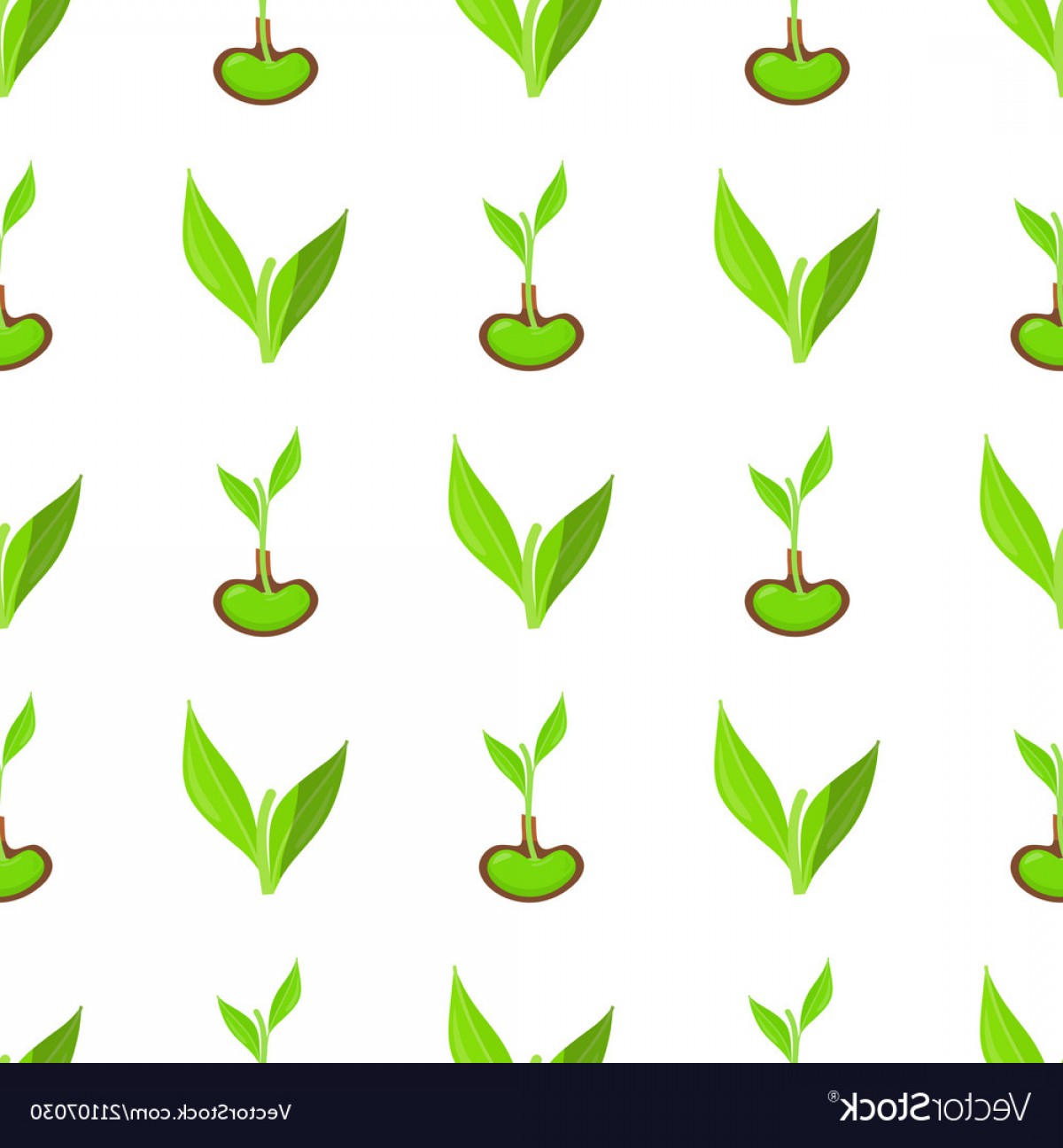 1200x1296 Vector Sprouting Leaves Hoodamath