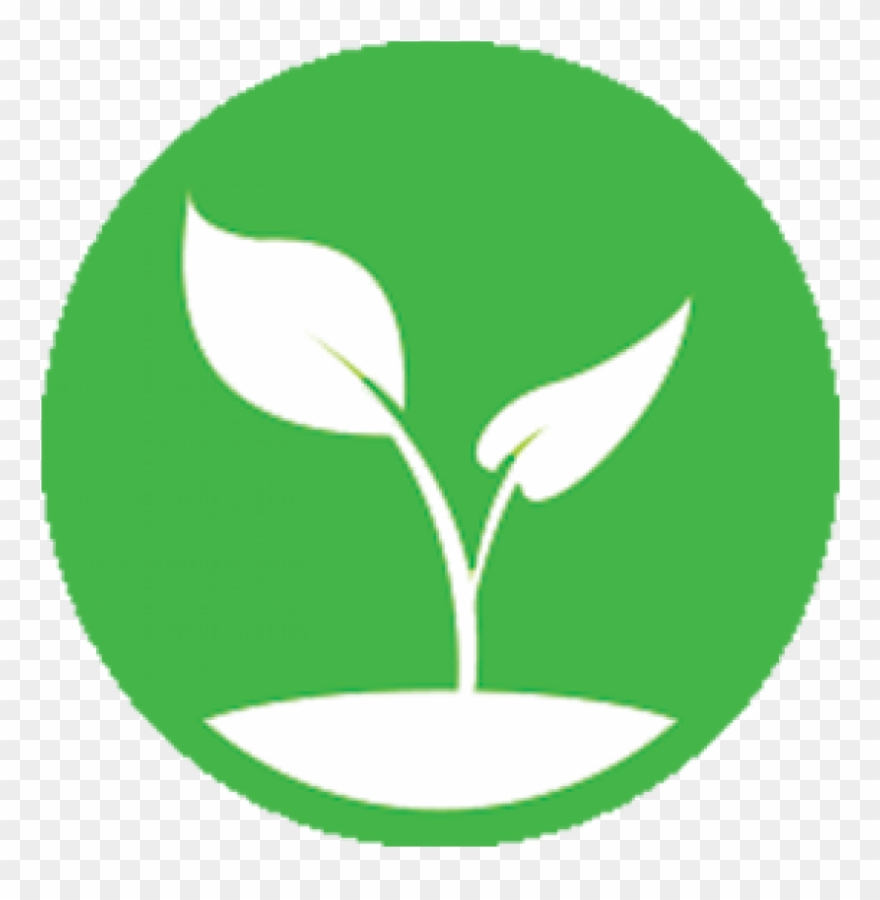 880x900 Budgeting Basics Budgeting Basics